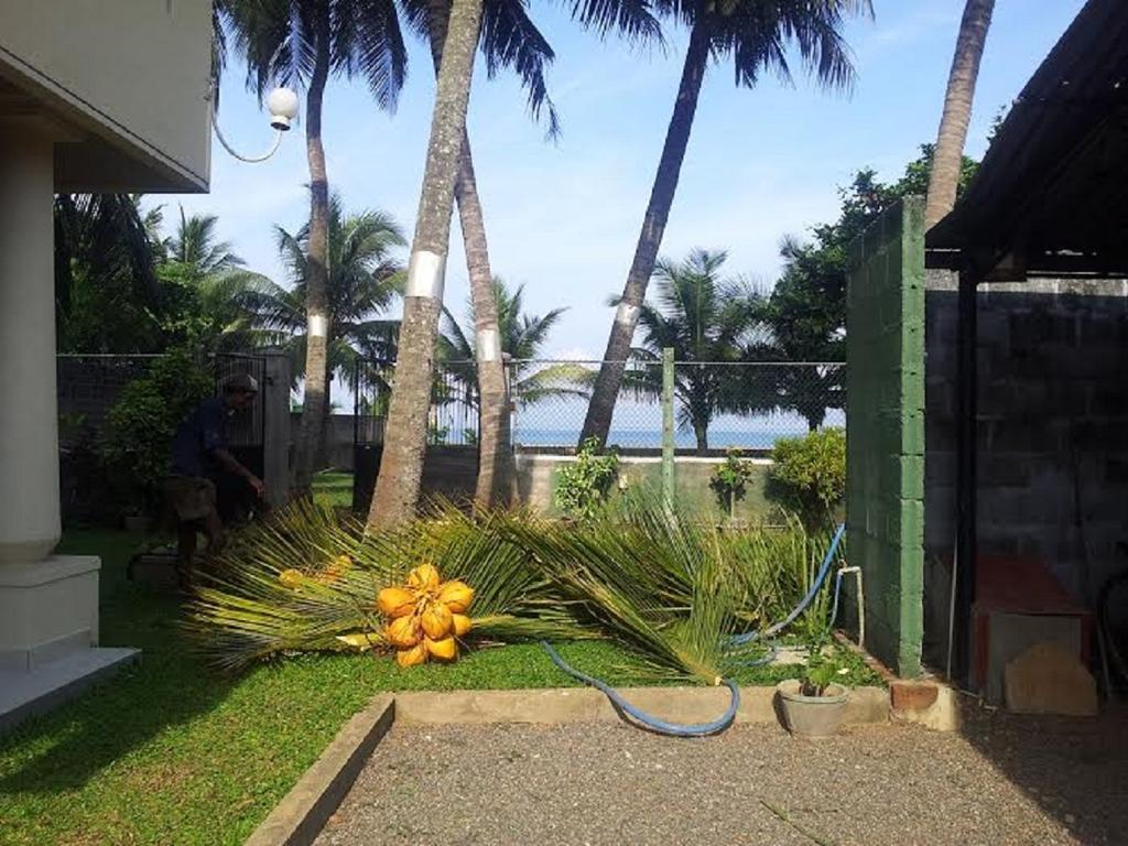 Отель Janishi Residencies Негомбо Экстерьер фото